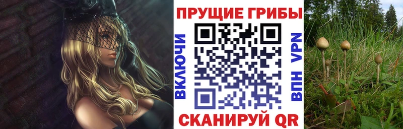 Галлюциногенные грибы GOLDEN TEACHER  Орёл 